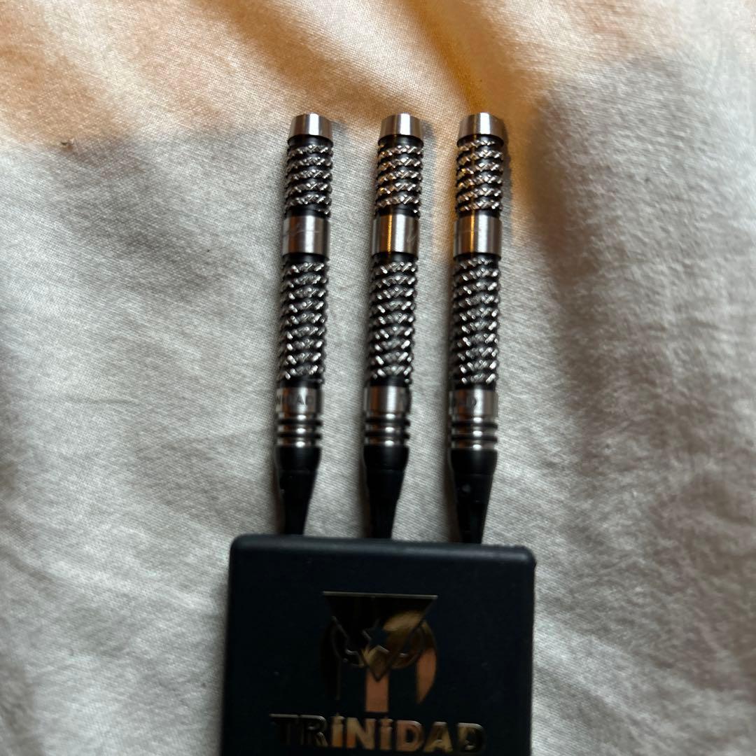 【ダーツ】トリニダード　リカルドtype2 エスダーツ限定2BA 浅田斉吾モデル