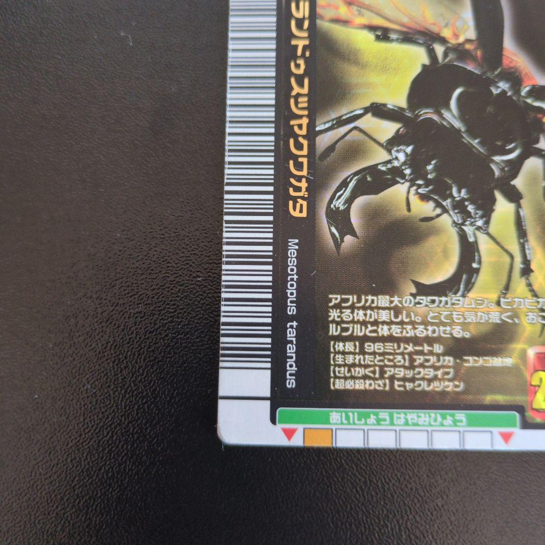 トレーディングカード 029 ムシキング タランドゥスツヤクワガタ