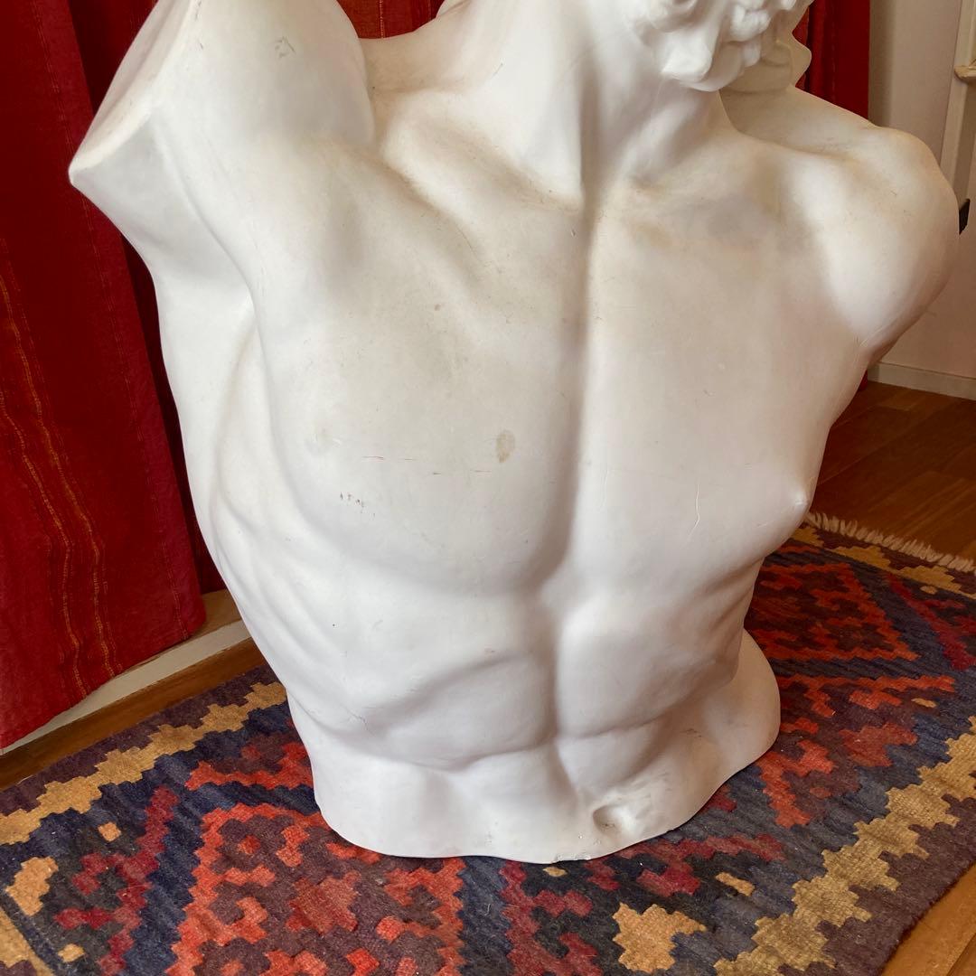 送料込み】ラオコーン像 石膏 胸像 デッサン 美大受験