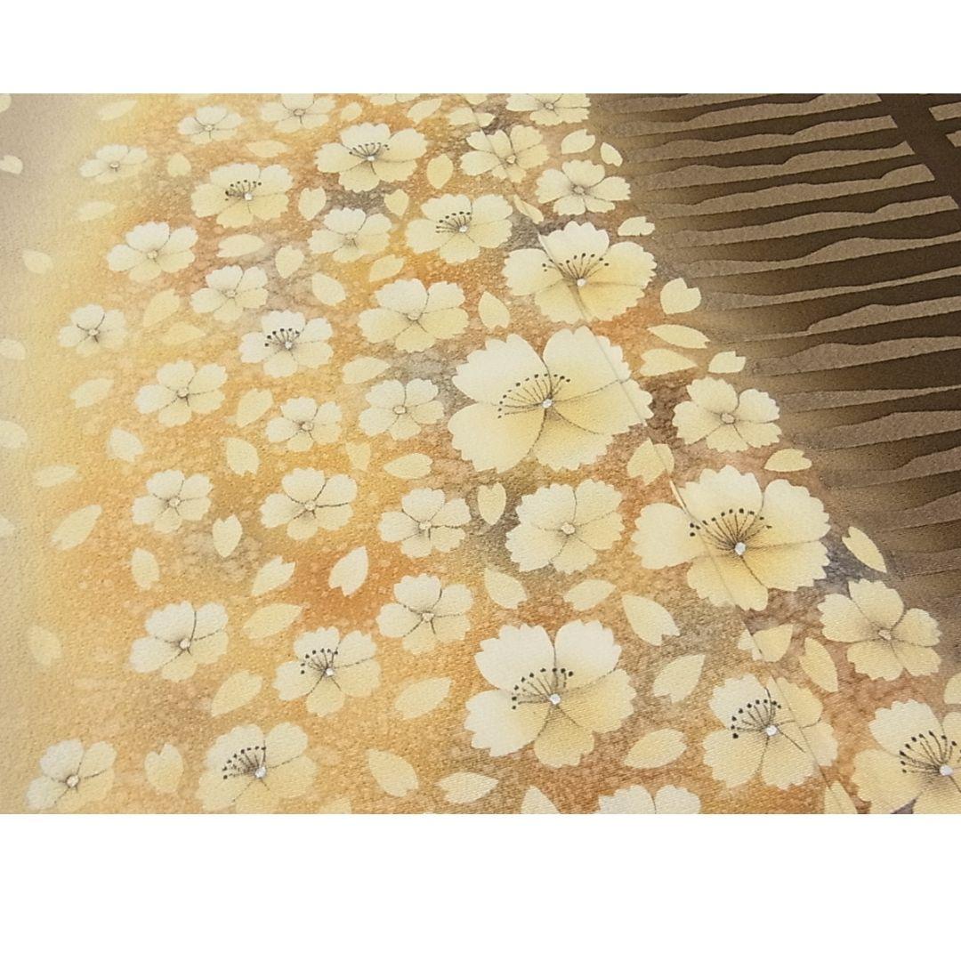 P.tianschanicus（1メス、中国新疆省ウルムチ）