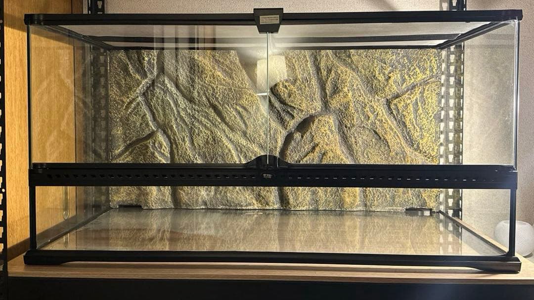 ③ 引取限定 エキゾテラ グラステラリウム9045