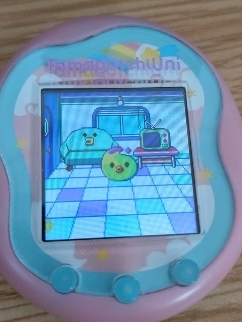 ん*ご様 たまごっちUni エンジェルフェスティバル 箱、説明書、バンド、チケッ