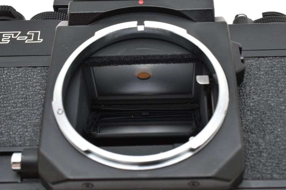 ☆極上品☆キヤノン Canon NEW F-1 AE #1234