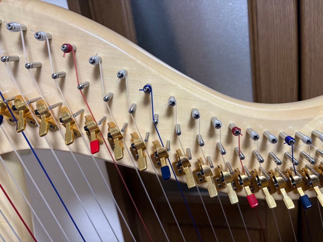 直取限定☆極美品　アオヤマ　ハープ　36弦　140N 唐草模様