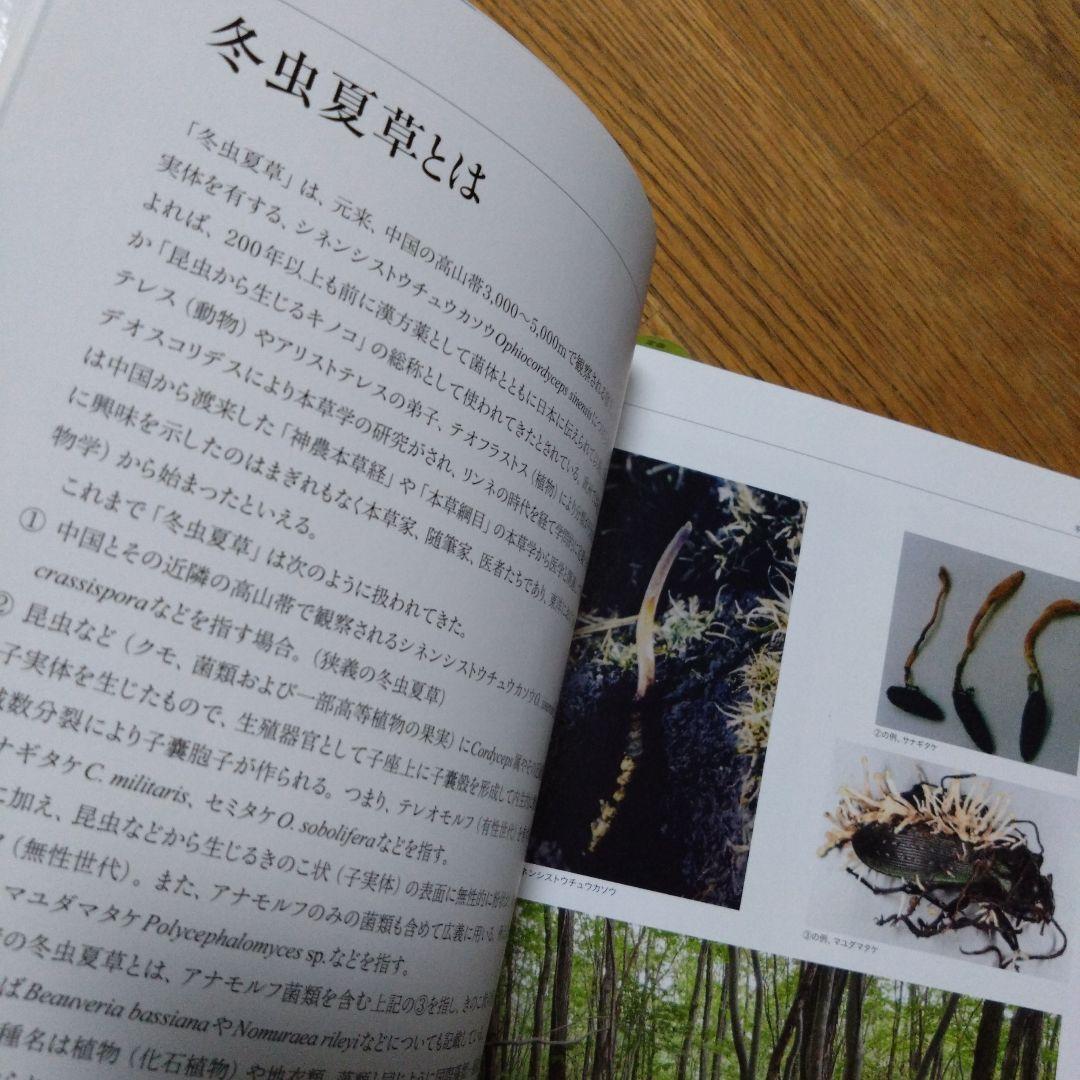 冬虫夏草生態図鑑 採集・観察・分類・同定、効能から歴史まで 240種類