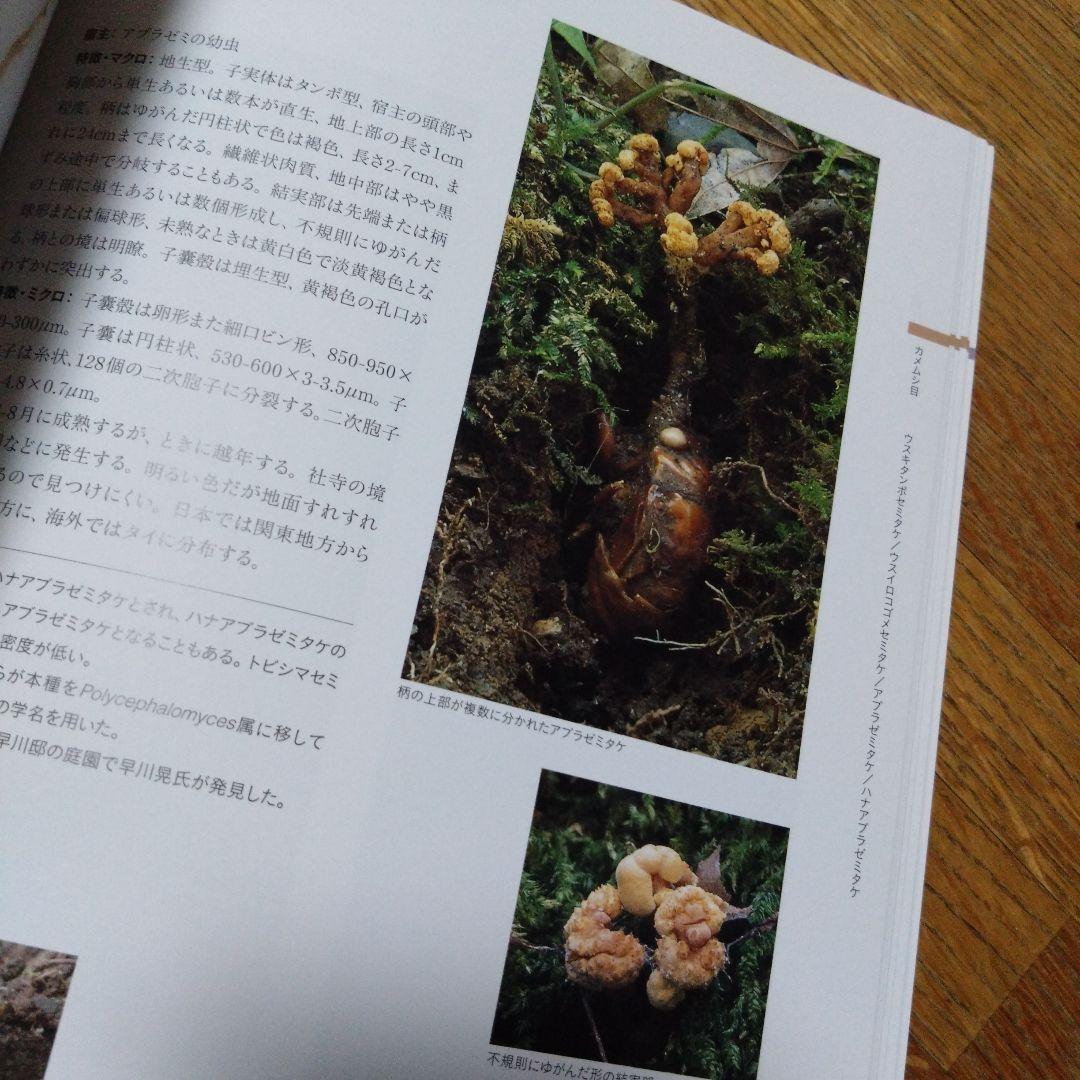 冬虫夏草生態図鑑 採集・観察・分類・同定、効能から歴史まで 240種類