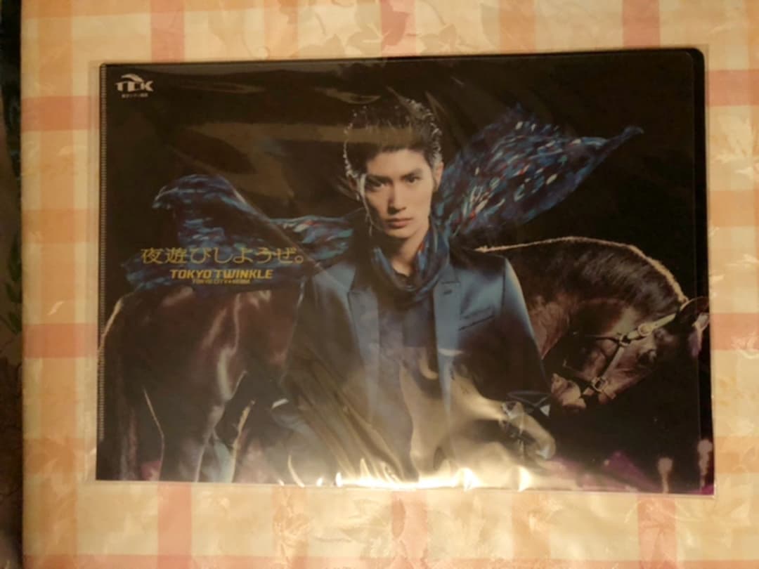 三浦春馬 TCK 東京シティ競馬 クリアファイル