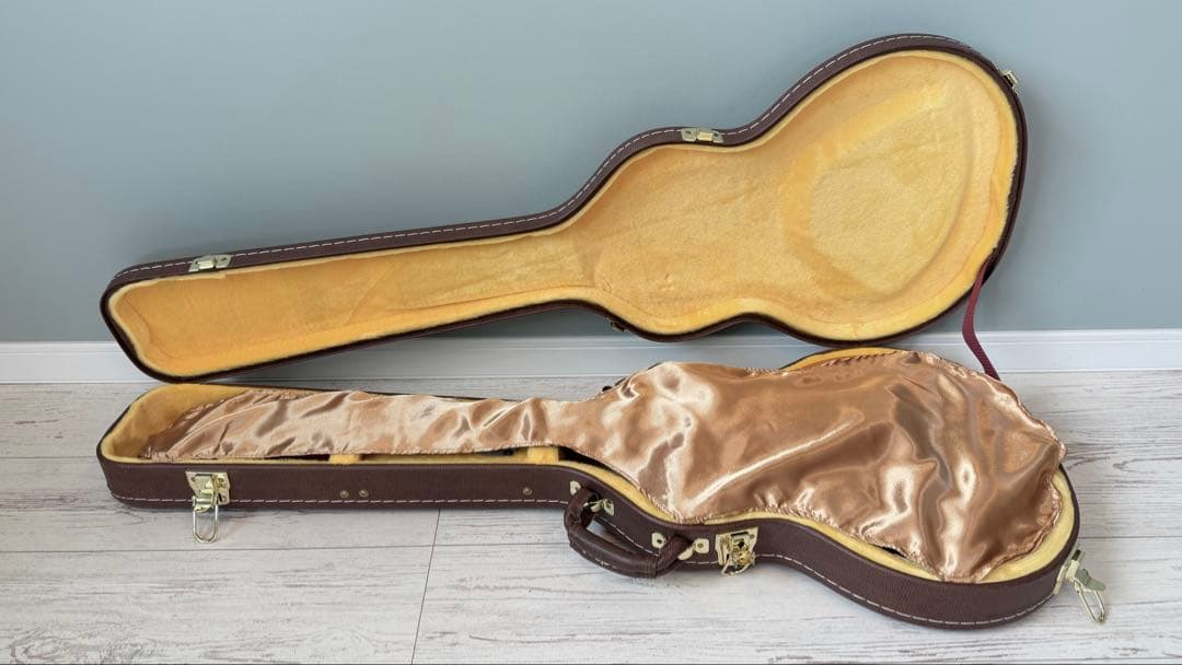 年末価格♪】Harley Benton Les paulドイツ ギター 左利き