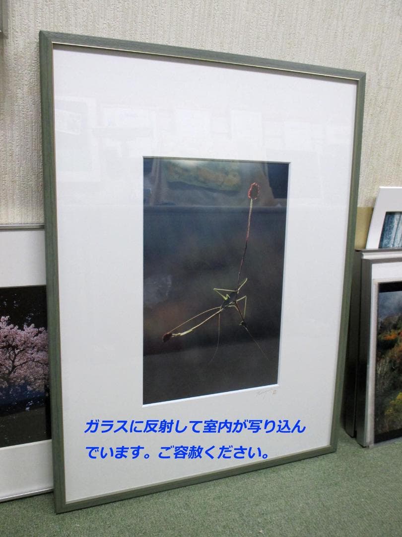 著名な写真家の珍しい写真と大全紙額縁（木製） 送料無料 】 【 名入れ