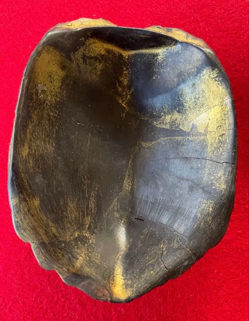 美術作品・亀の彫像・小物入れ・骨董品・松立斉・亀彫刻・印籠・彫刻・