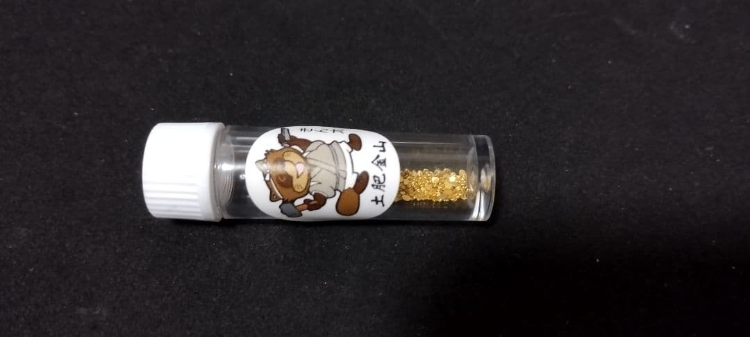 土肥金山 砂金採り体験 258粒