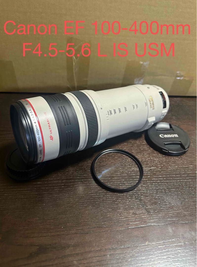 キヤノンCanon EF 100-400mm F4.5-5.6 L IS USM