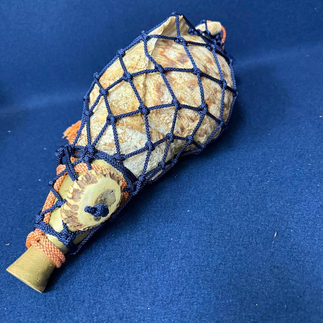 特大 ホラ貝 法螺貝 螺貝 ラッパ 雅楽 和楽器 古玩 旧家 蔵出 骨董品