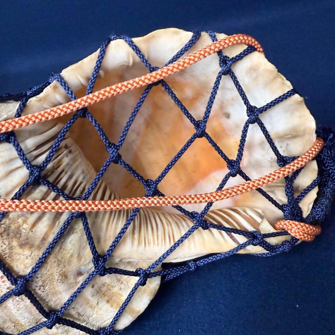 特大 ホラ貝 法螺貝 螺貝 ラッパ 雅楽 和楽器 古玩 旧家 蔵出 骨董品