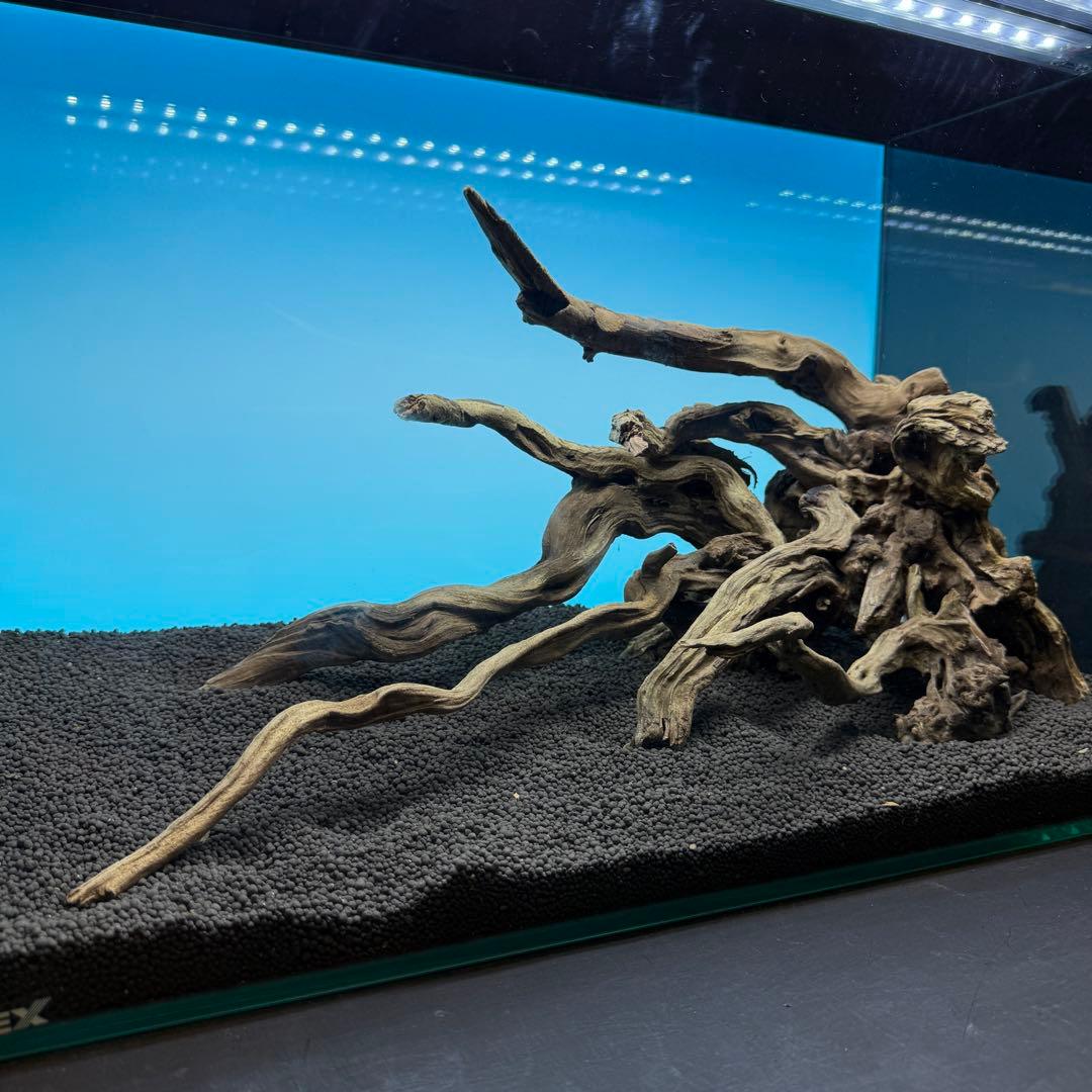 MSRW-6813 スリムウッドレイアウトセット 60cm水槽用流木アクアリウム