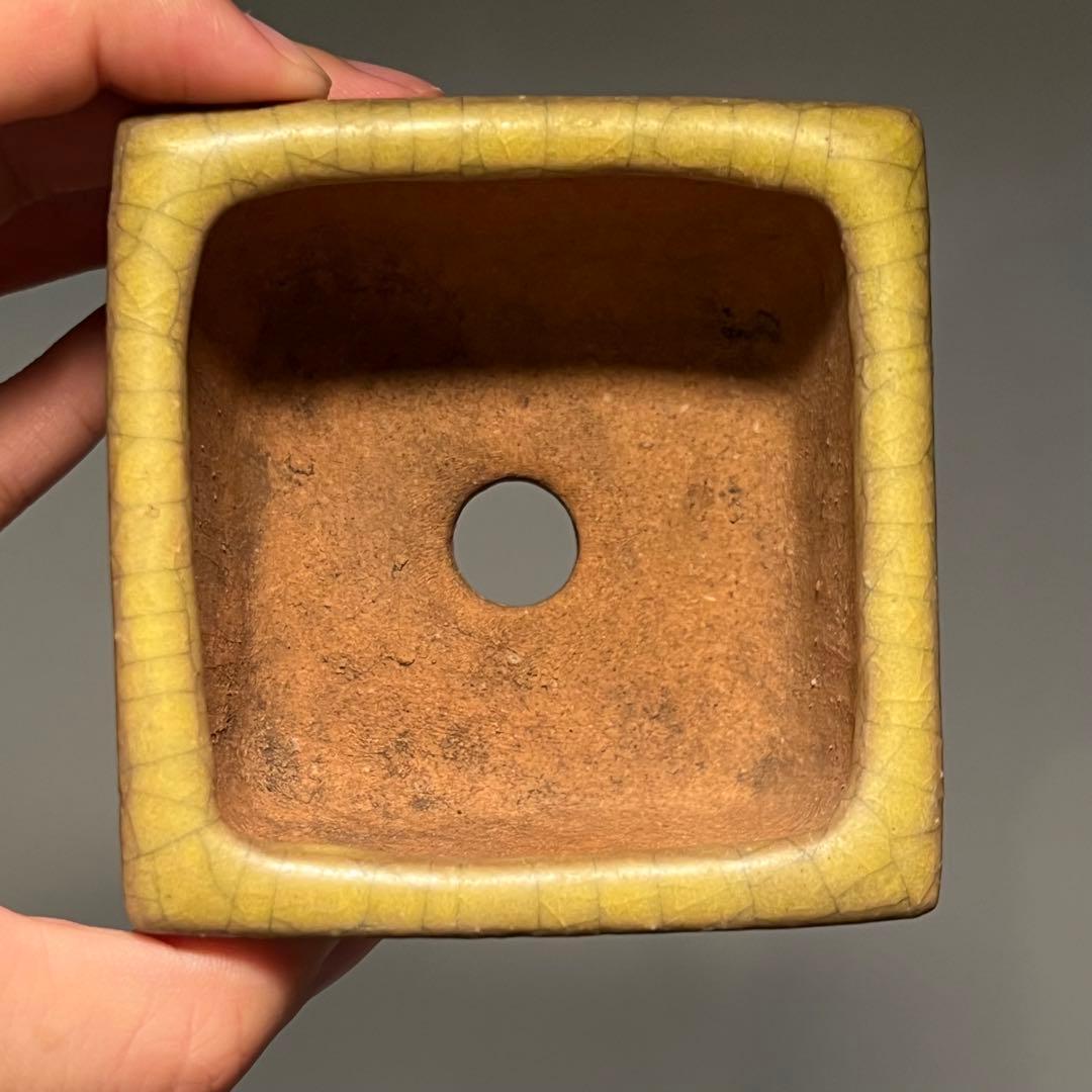 830.暁雲 黄貫入釉切立正方 盆栽鉢 植木鉢 8.2*8.2*4.9cm