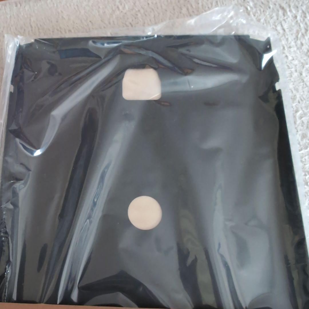  peak スノーピーク　リッドトレーブラック　2枚