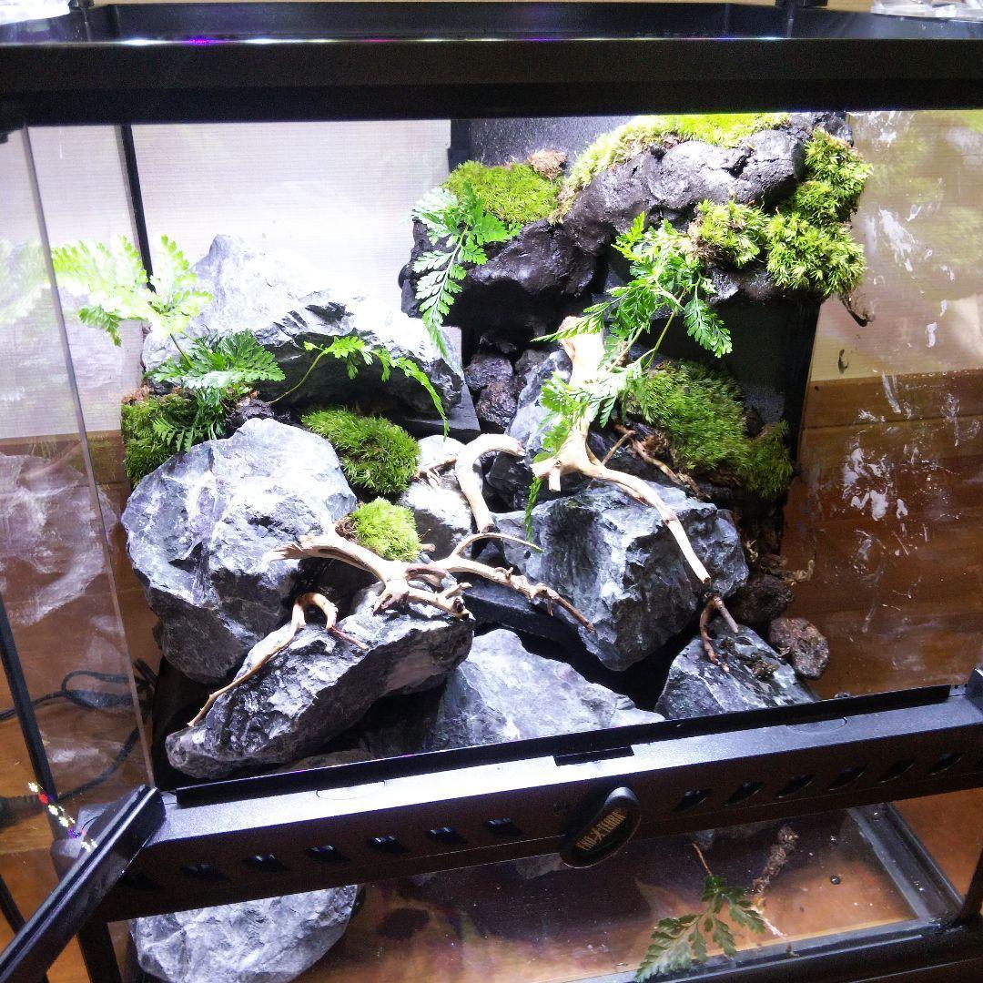 ラルママページ