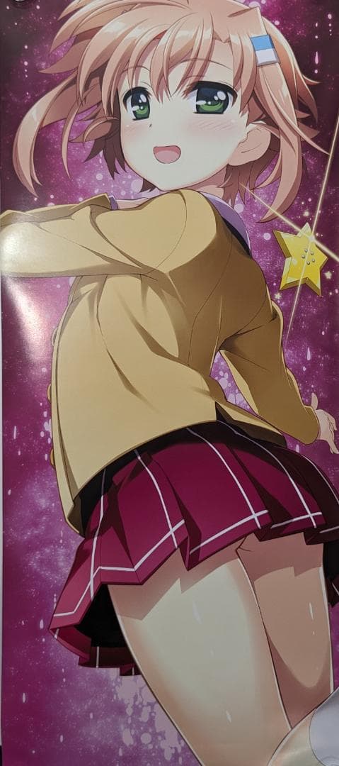 魔法少女リリカルなのは】リバーシブル ポスター6枚セット 公式 グッズ