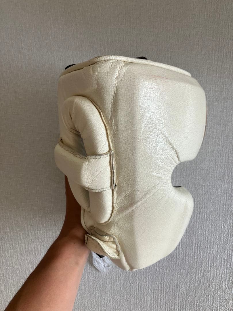 Winning ヘッドギア フルフェイスタイプ ホワイト L FG-2900