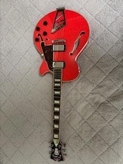 ギター D'Angelico Premier Series SS
