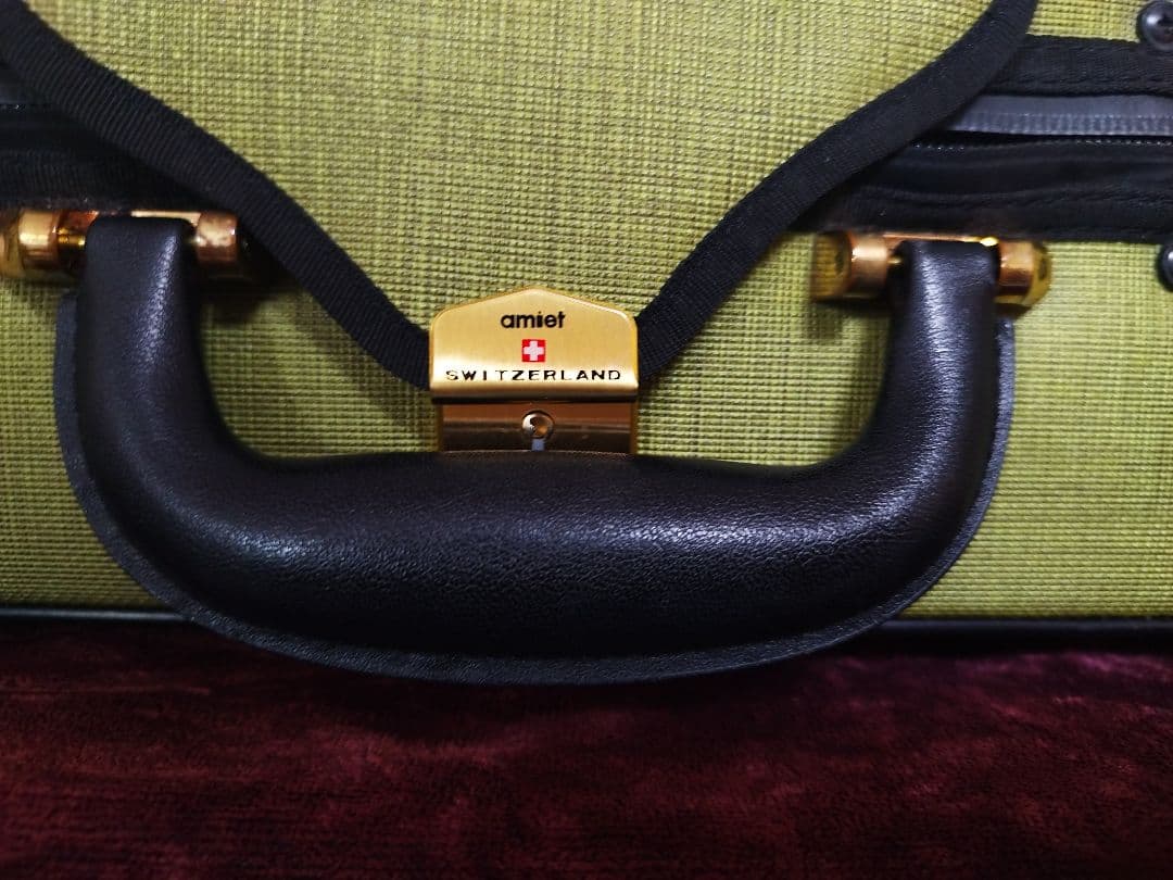 amati Super Light ビオラケース - メルカリ