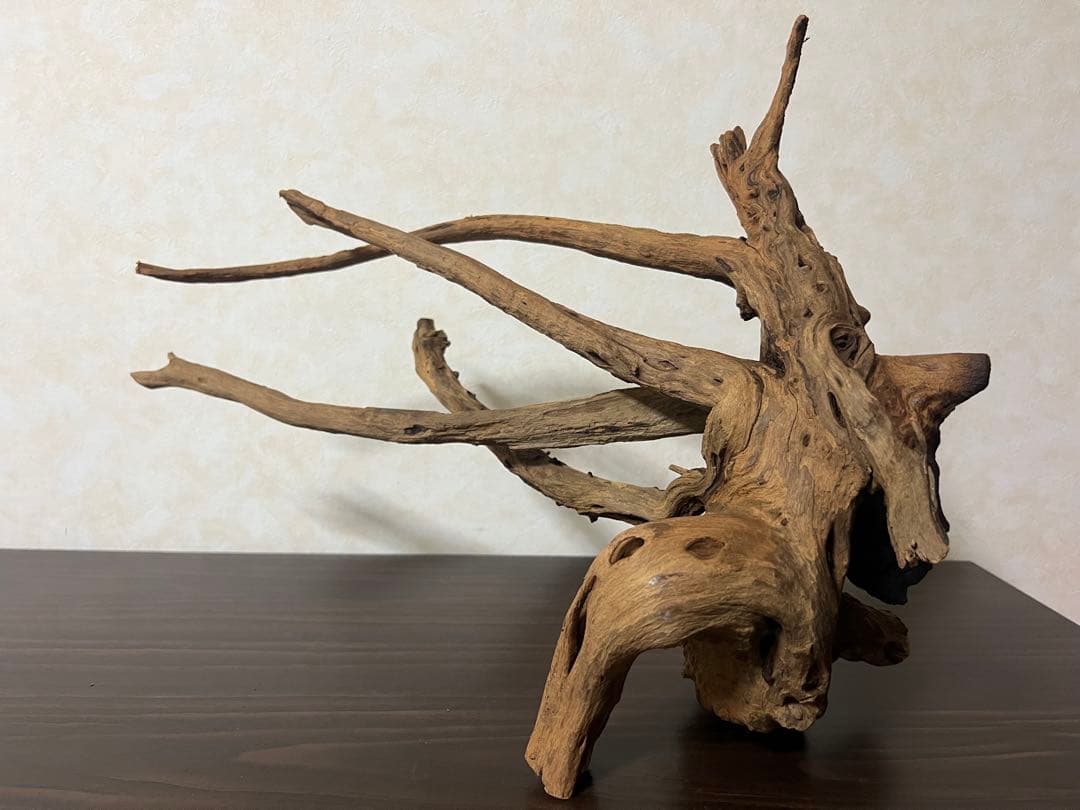 175 流木 ホーンウッド マシンガンウッド アクアリウム ブランチウッド