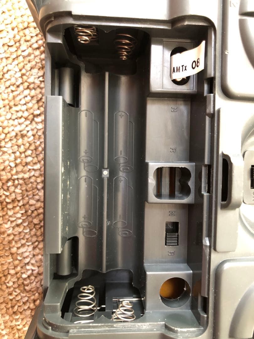 タミヤ　RCカー　1/10 CALSONIC SKYLINE GT-R R34