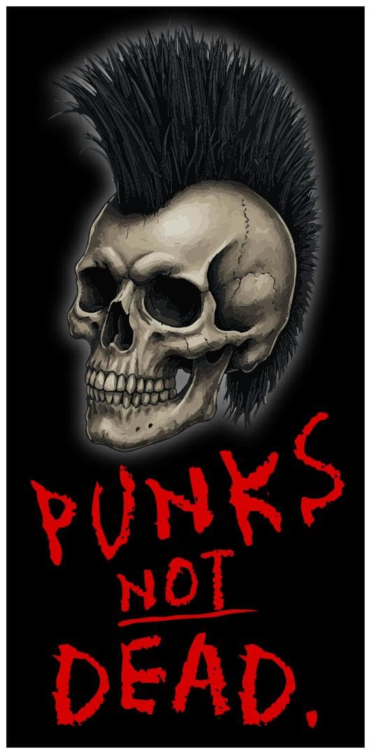 PUNK パンクロック パンクス スカル 骸骨 ドクロ 看板 置物 ライトBOX