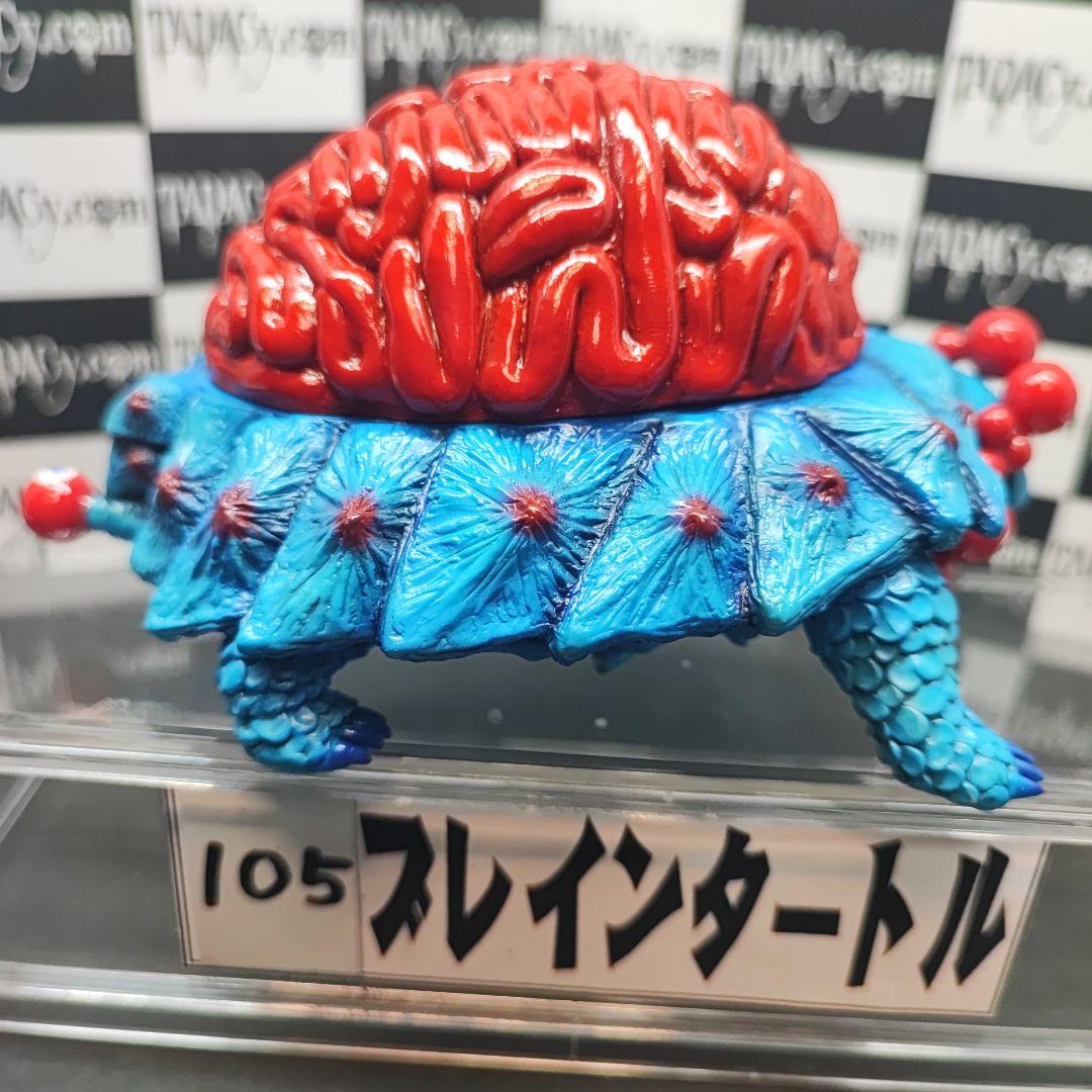 105ブレインタートル