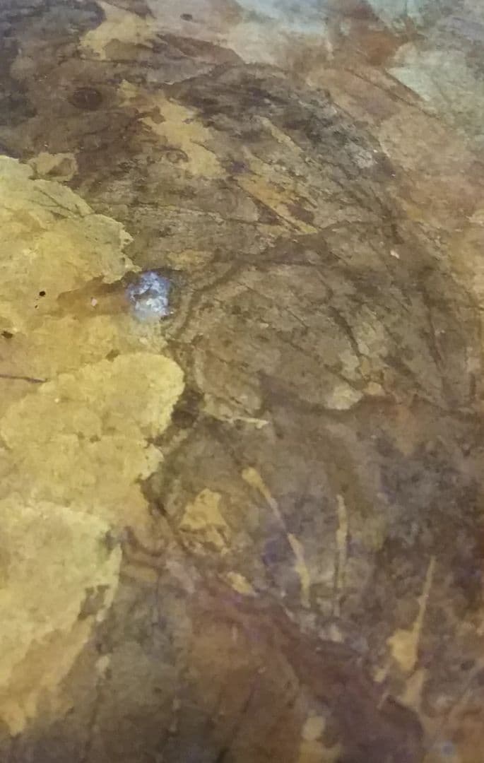 骨董品　絵画　1点物　1892年　ポーランド画家　メホッフェル