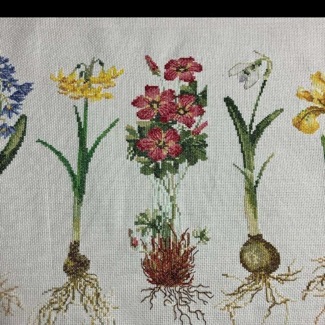 テアグーベルヌール　キット