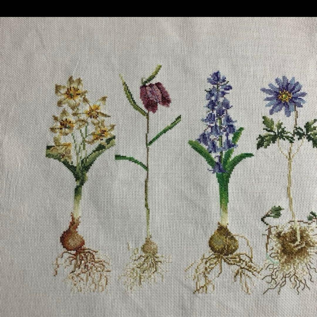 テアグーベルヌール　キット