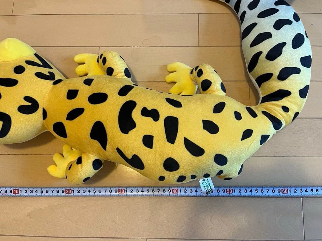 イモリ　レオパ　ニホントカゲ　ぬいぐるみ　BIG 3点セット