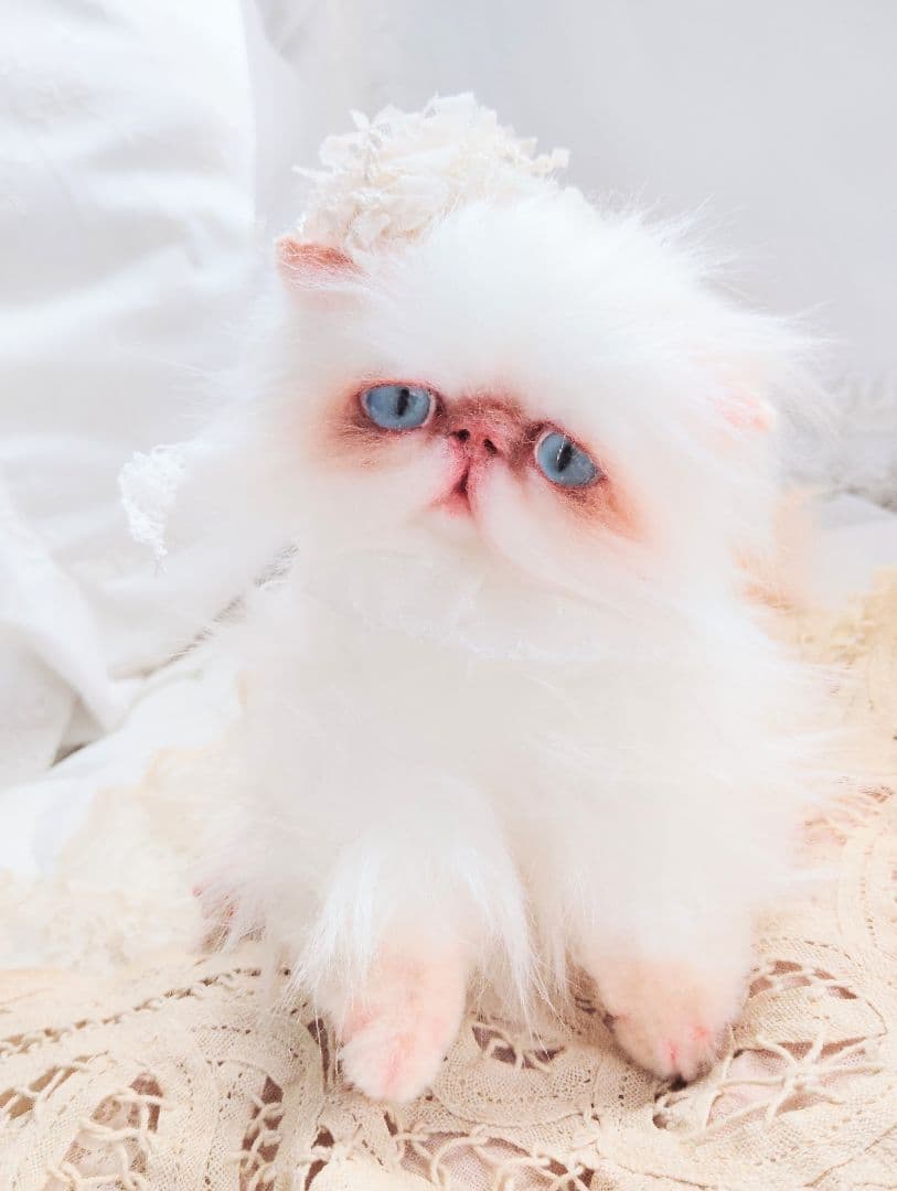 エキゾチックロングヘア♡生後1年♡アートドール♡ぬいぐるみ♡