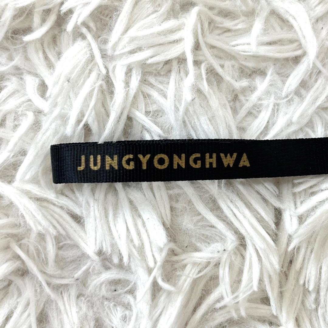 CNBLUE ジョンヨンファ 韓国公式ペンライト