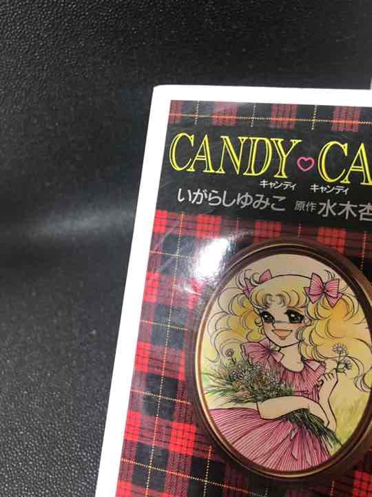 キャンディキャンディ 節約 文庫版 全巻セット いがらしゆみこ・水木