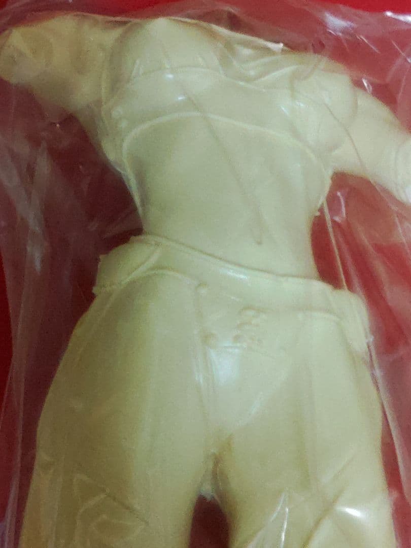 攻殻機動隊　草薙素子　ガレージキット。