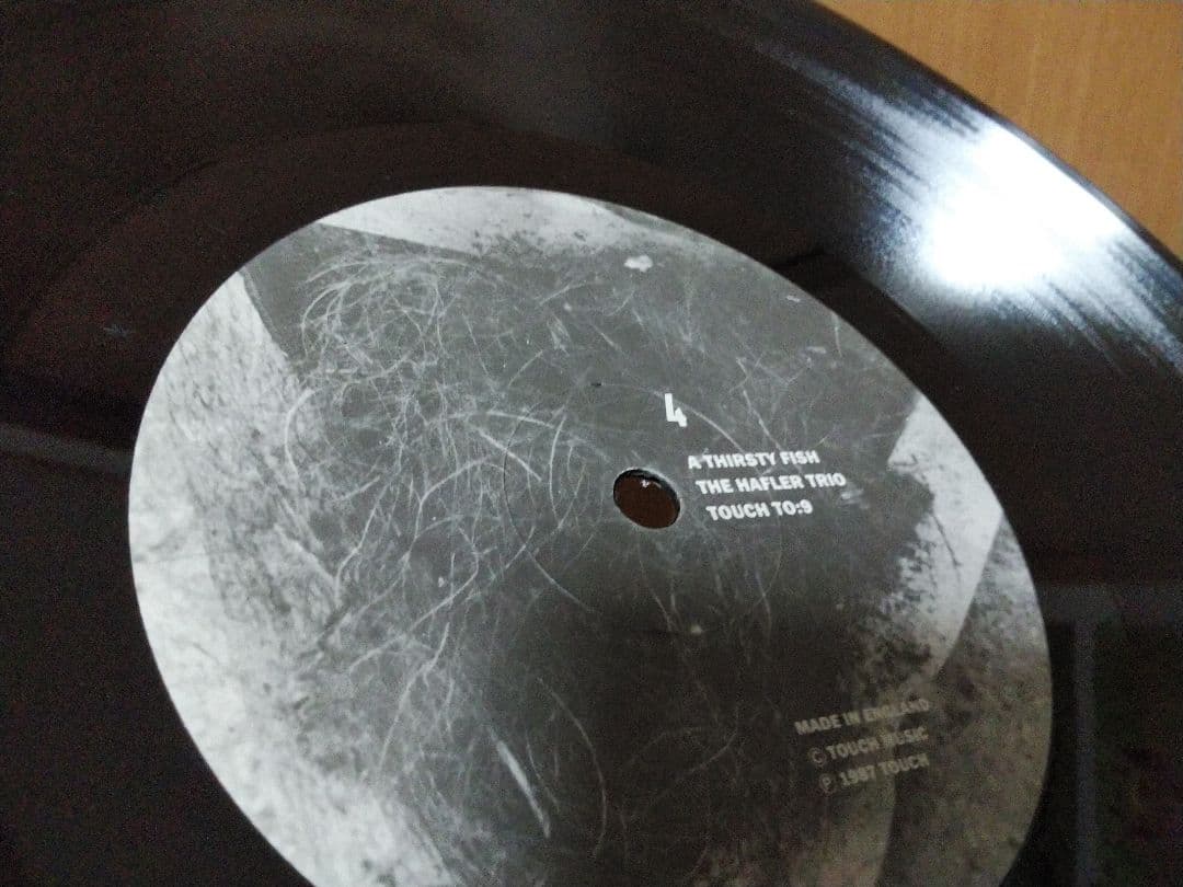 THE HAFLER TRIO．A THIRSTY FISH．レコード！