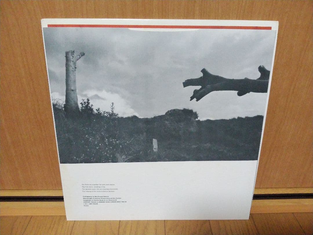 THE HAFLER TRIO．A THIRSTY FISH．レコード！