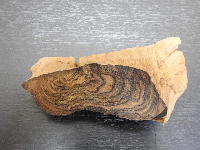 香木　真那賀　MA32