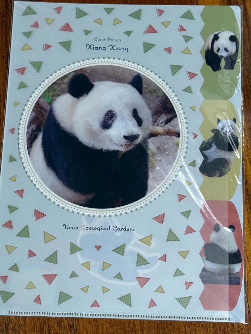 上野動物園 シャンシャン レイレイ シャオシャオ クリアファイル
