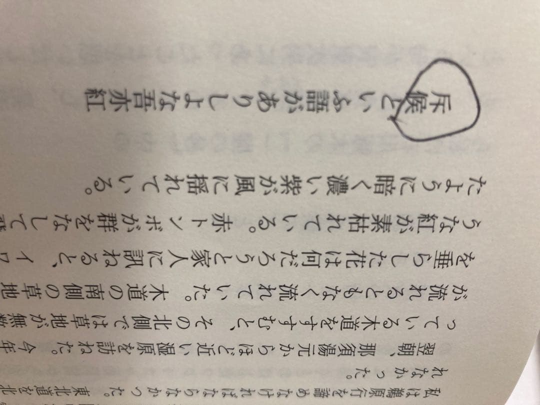 専用　中村稔著作集 全6巻揃◆中村稔、青土社、2004年/X876