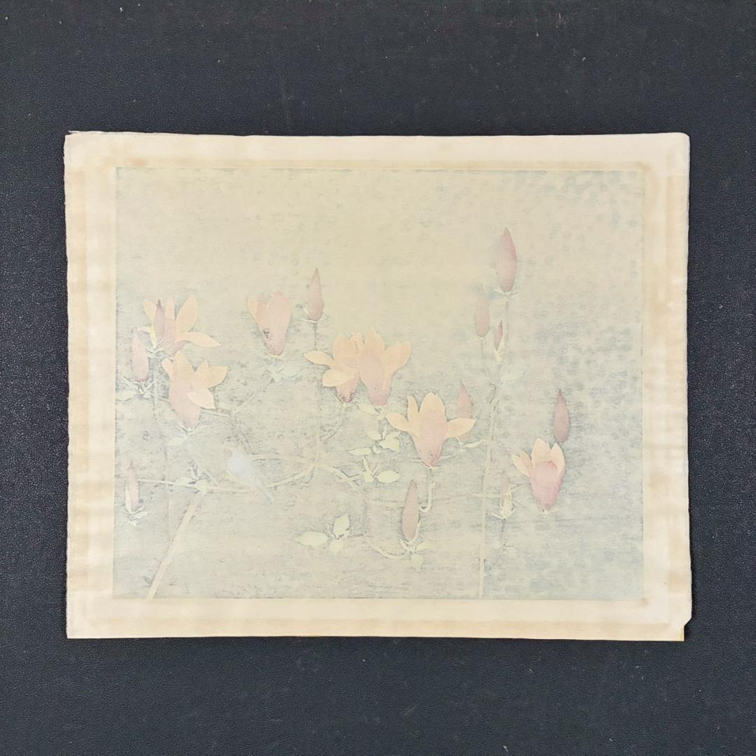 美品 山口華楊「風光る」木版画 10号 印章有 証明シール有