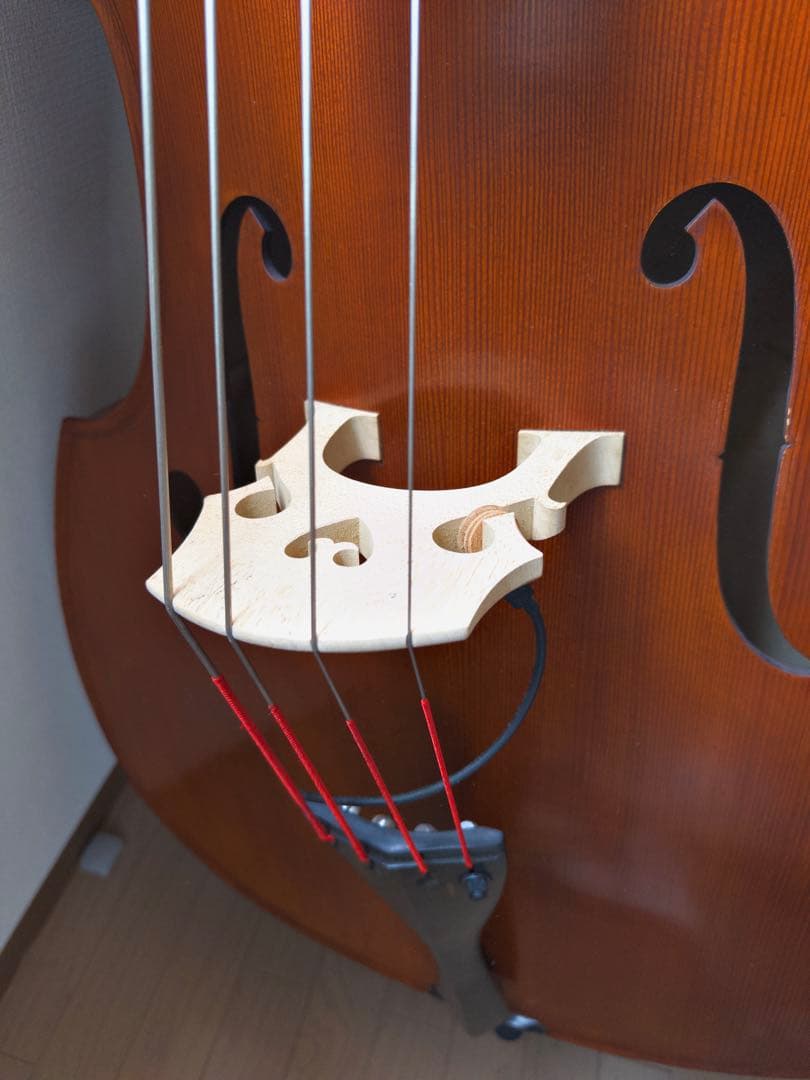 自宅用Gliga Gems Ⅱ G/Cコントラバス(国内4/4サイズ) - メルカリ