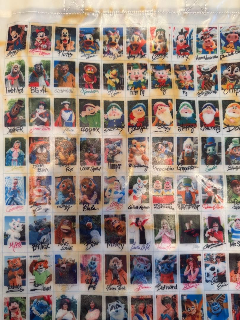 ディズニー　ショッピングバッグ　22枚セット