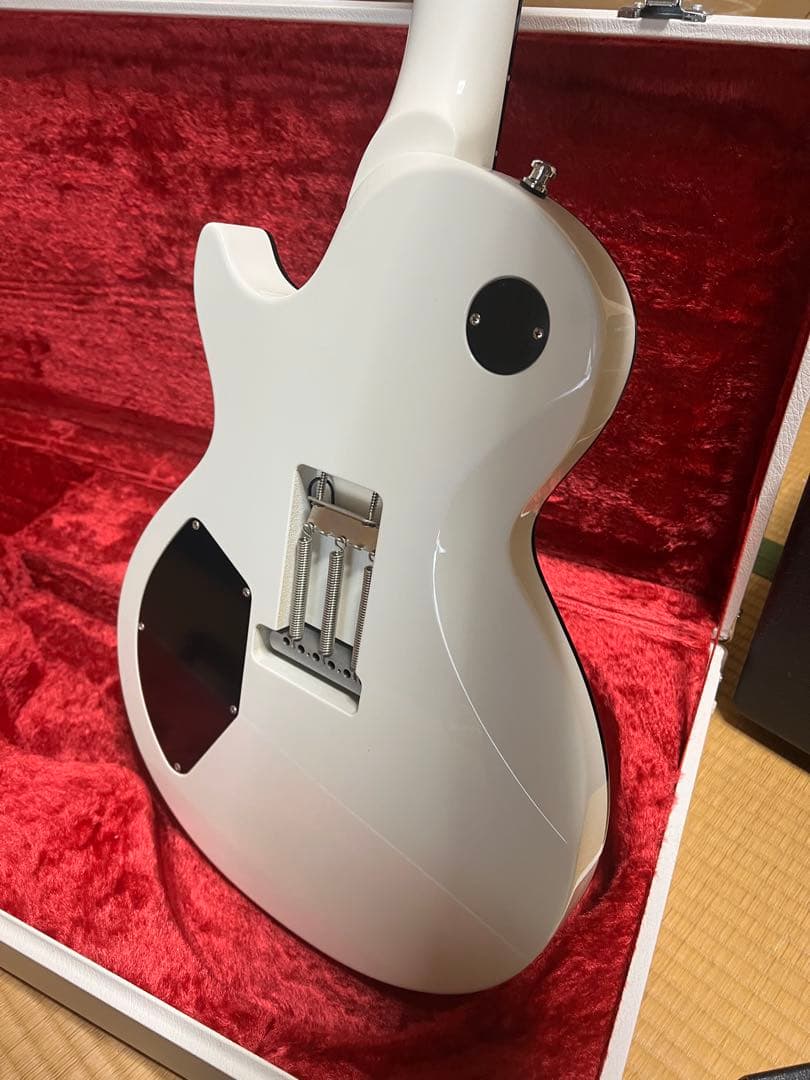 ESP eclipse カスタムオーダーメイド