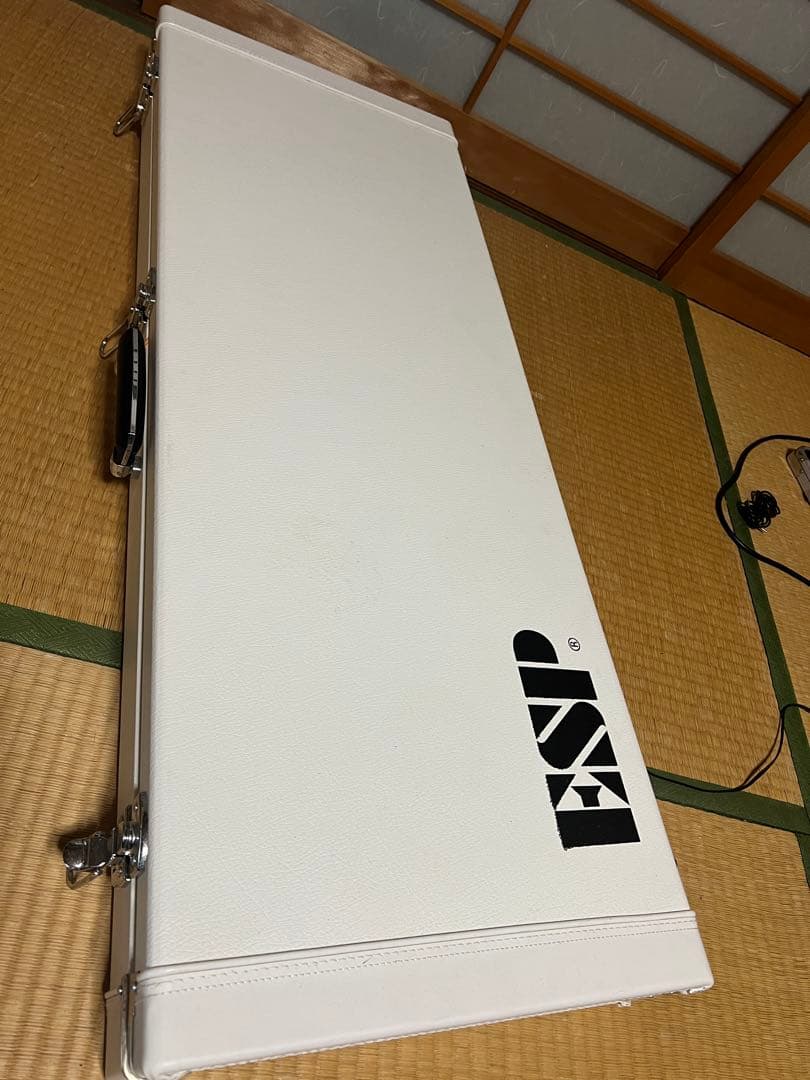 ESP eclipse カスタムオーダーメイド