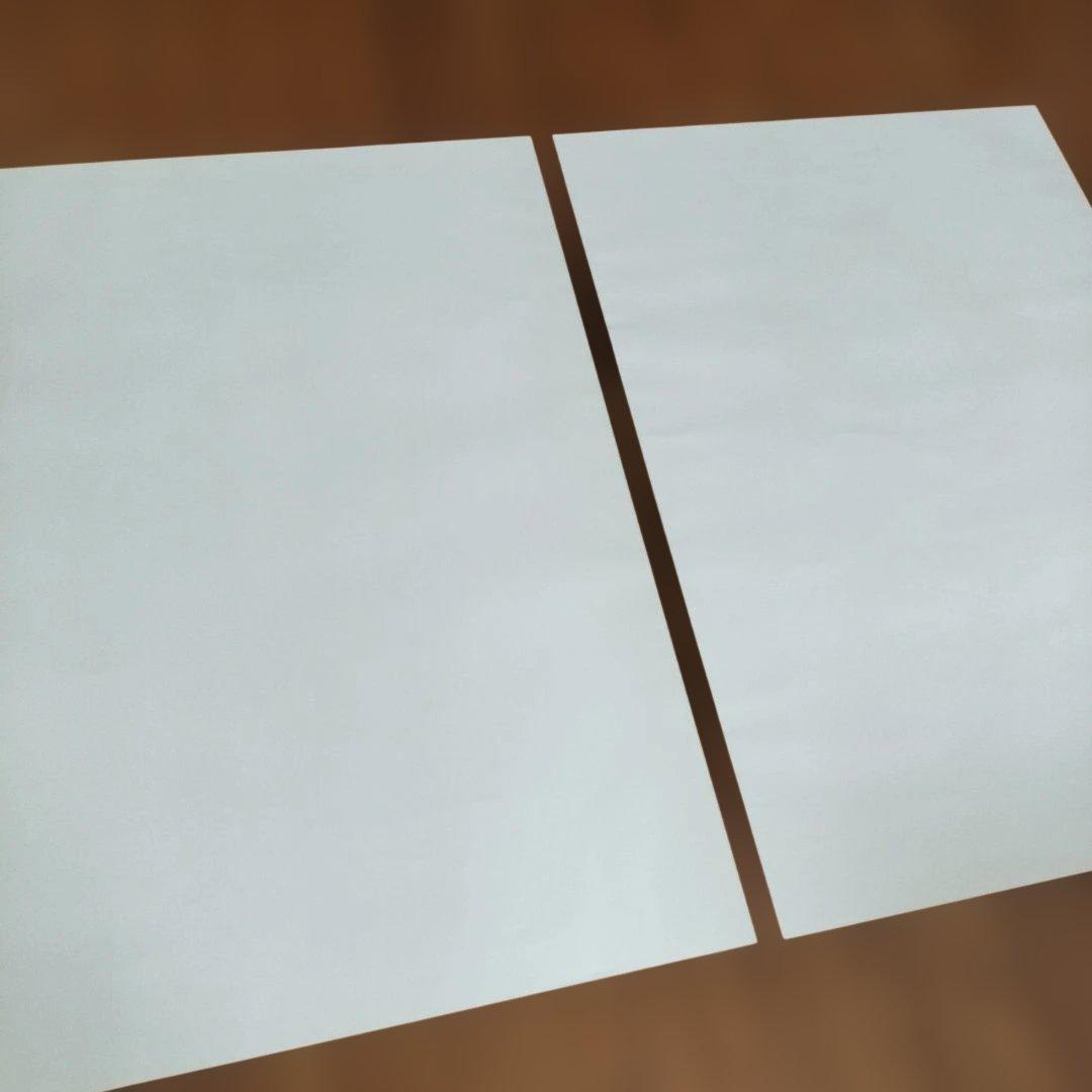 非売品】早いもの勝ち！ 大阪万博 ミャクミャク B2ポスター 2枚セット