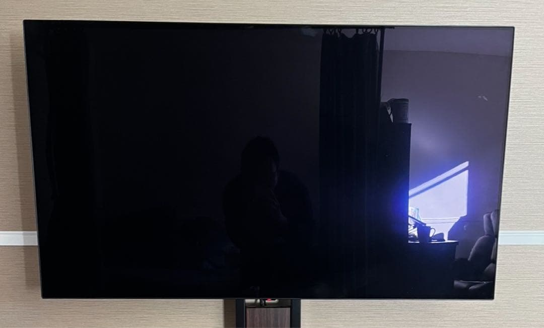 あーのるどしゅわるつぇねーがー 専用)LG 48型 4K